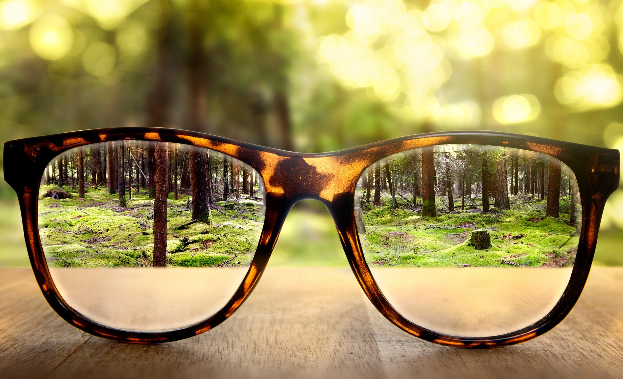 Eyewear Explained: All About Lenses and Frames