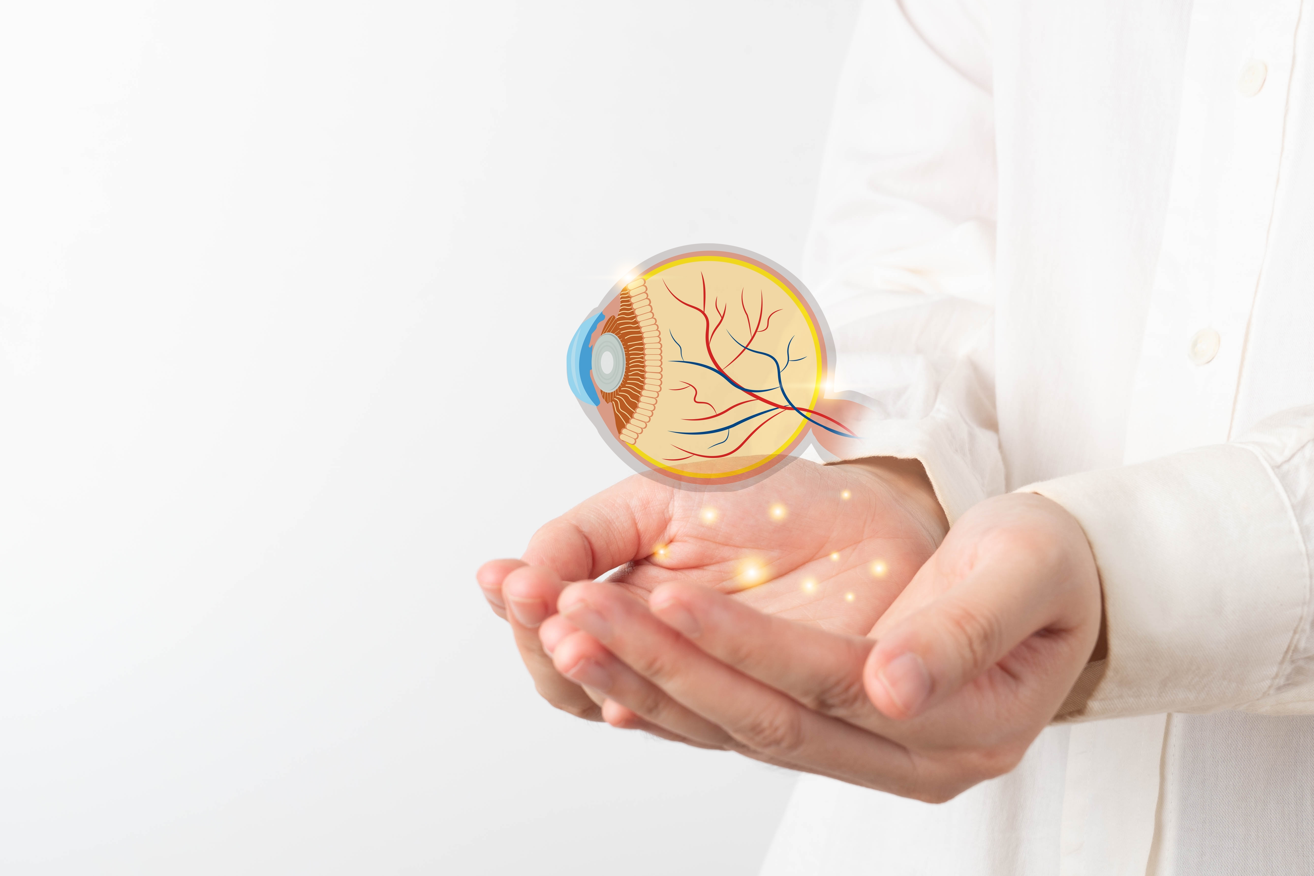 Understanding the Eye: Anatomy, Vision and Ocular Conditions