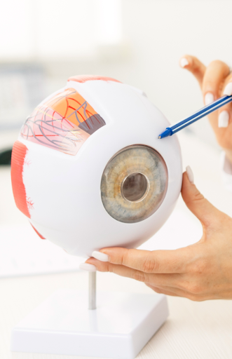 Scleral Lens Success Starts Here